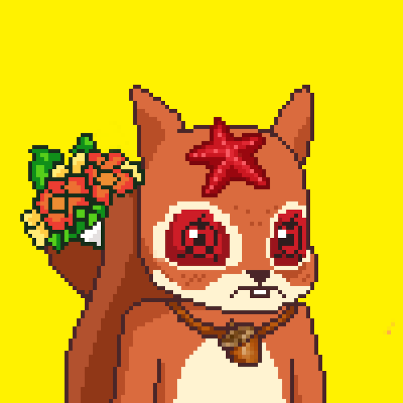 Pixel Squirrels #6581